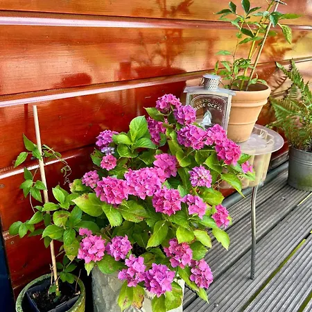 Chic On The Rhine ヴィラ