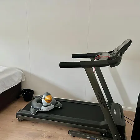 Chic On The Rhine 빌라