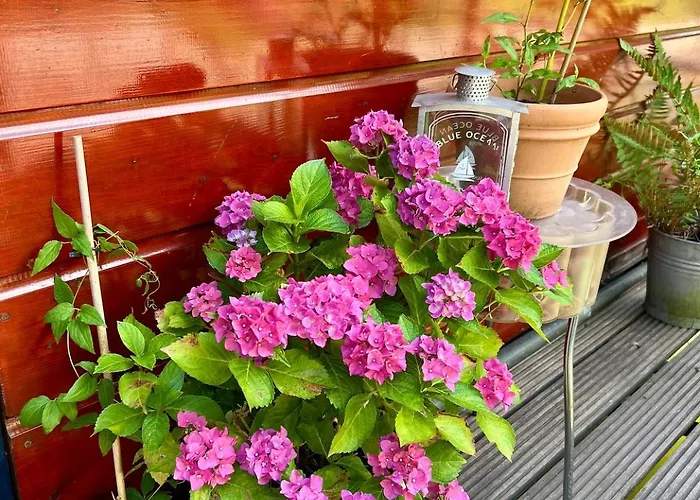 Chic On The Rhine וילה