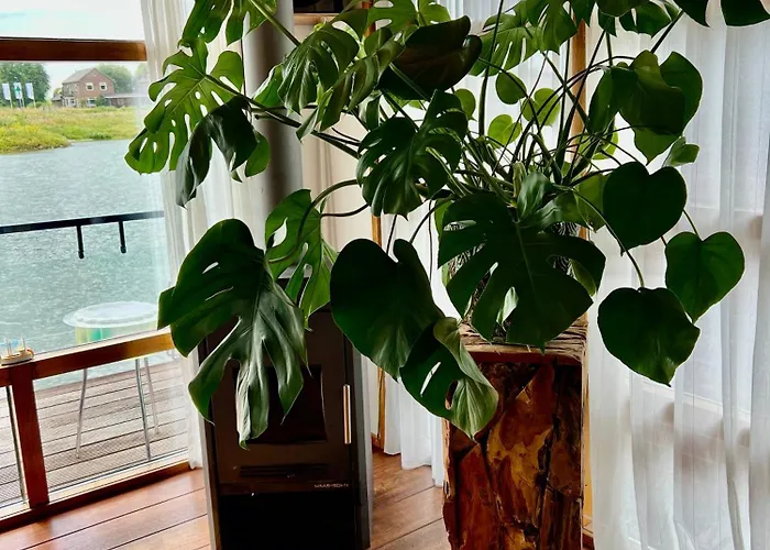 וילה Chic On The Rhine