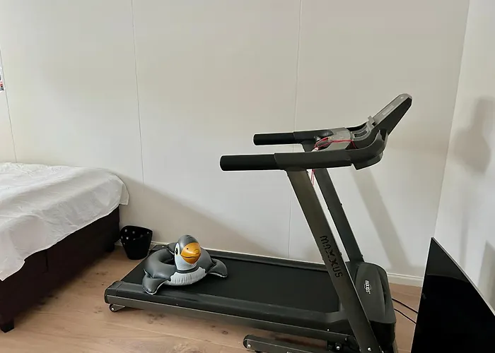 Chic On The Rhine 빌라