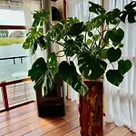 Villa Chic On The Rhine