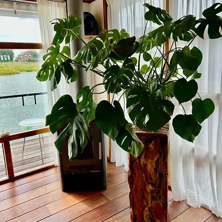 Villa Chic On The Rhine
